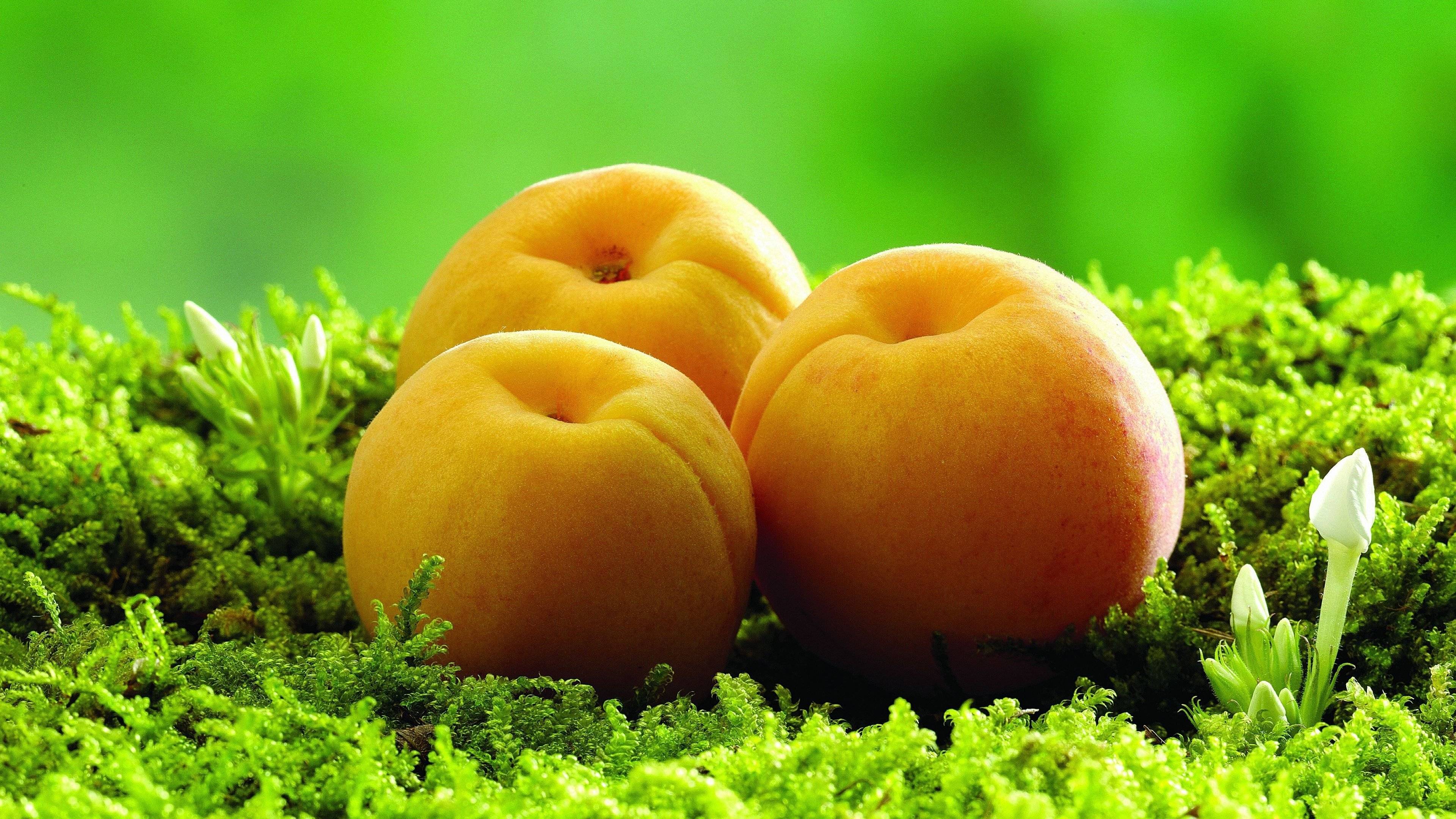 么读占卜的拼音是什么开元棋牌试玩占卜怎(图4)